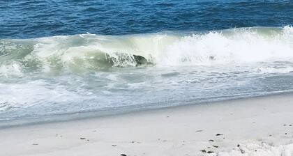 Beautiful Cozy Beach Cottage in Ocean Beach III - 8 houses from the beach!