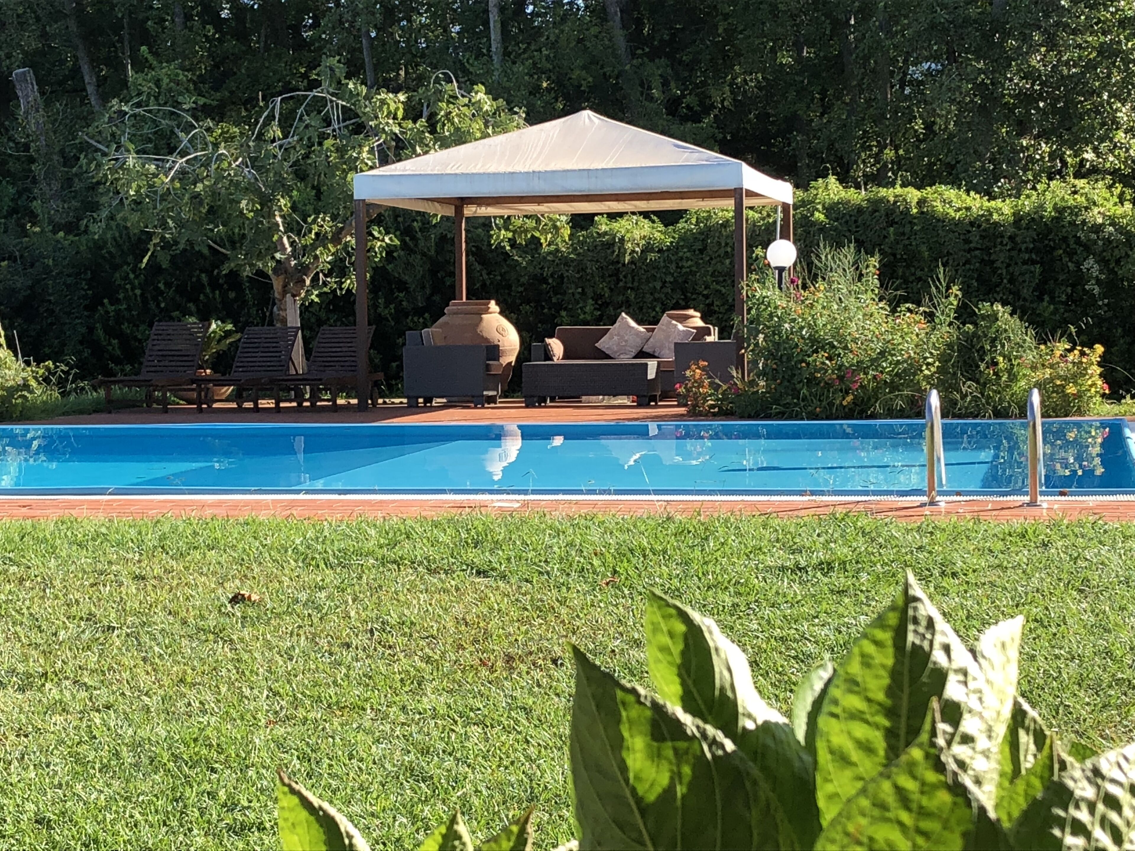 Una piscina con sillas de descanso y una zona de estar cubierta, rodeada de follaje.