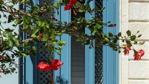 A blue door with a potted plant and a white wall.