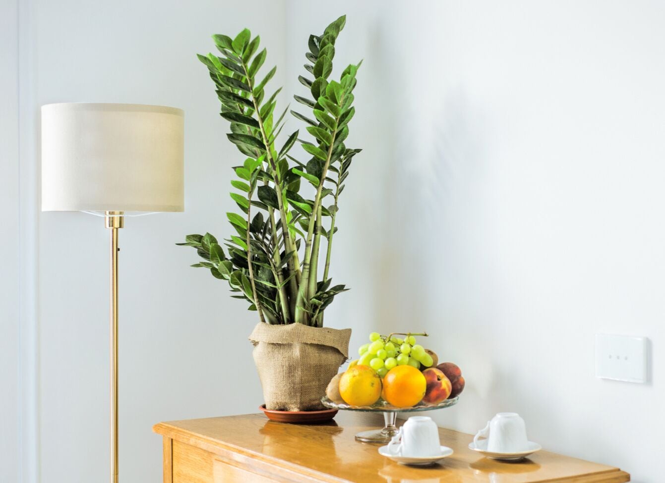 Foto - MONART HOSPITALITY Cavour