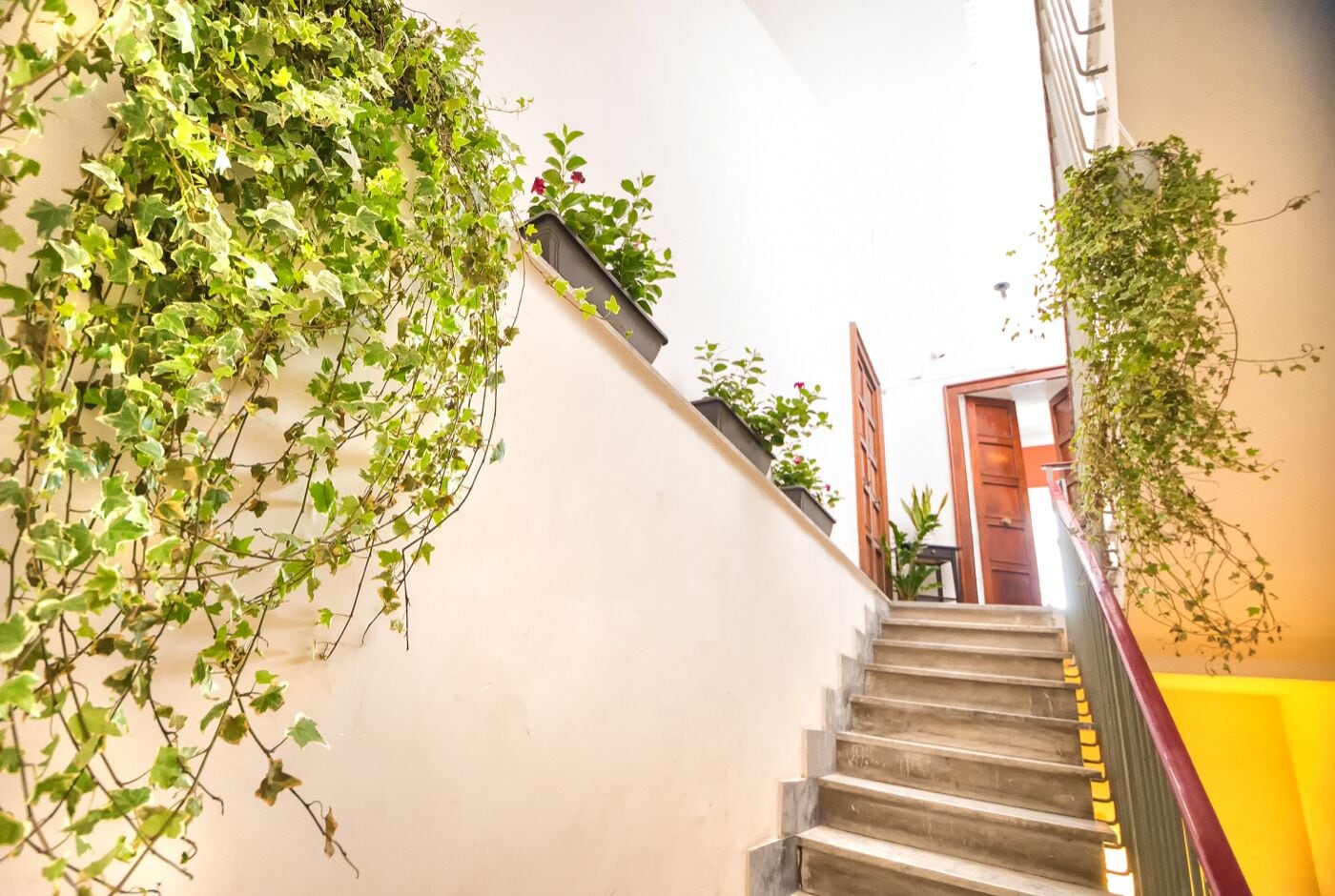 Foto - MONART HOSPITALITY Cavour