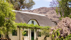 Une maison traditionnelle à toiture de chaume, entourée d’une végétation luxuriante et d’arbres en fleurs.