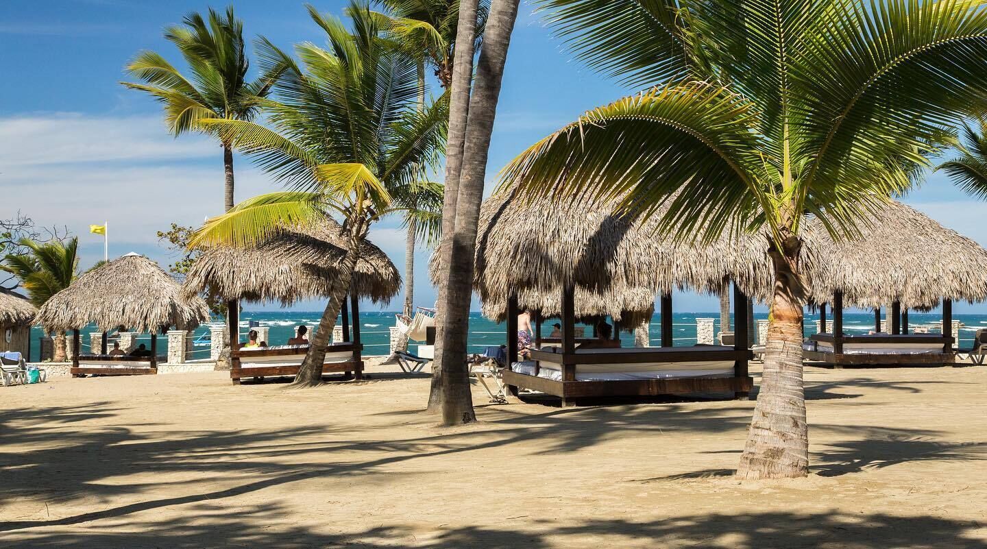 Una playa con estructuras de techo de paja, palmeras y vista al océano.