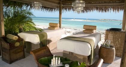 Dream Now Travel Later