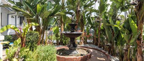 Jardines del alojamiento