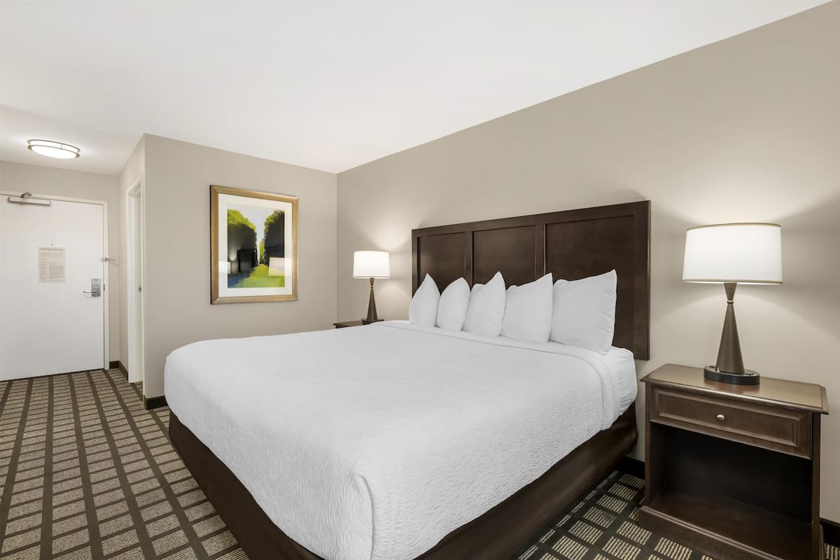 Standard Room, 1 King Bed, Non Smoking, Refrigerator & Microwave | Soundproofing, free WiFi, bed sheets