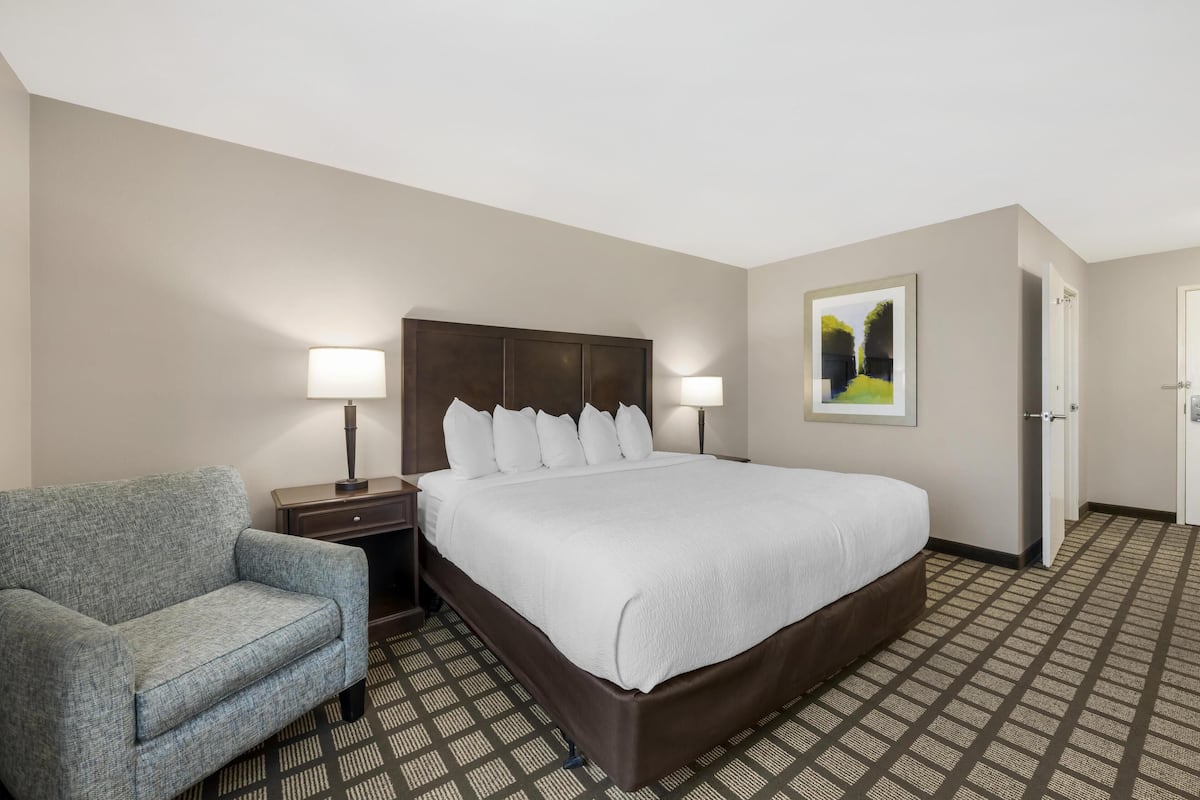 Standard Room, 1 King Bed, Accessible, Refrigerator & Microwave | Soundproofing, WiFi (free), bed sheets