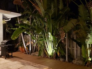 Un espace extérieur aménagé avec un barbecue, des plantes en pot et une clôture en bois.