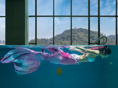 Una piscina techada, sillones reclinables de piscina