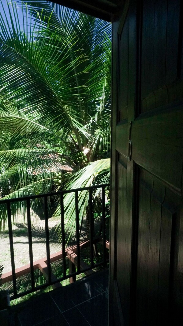 Exterior - Morpho CR 2 (Quepos)