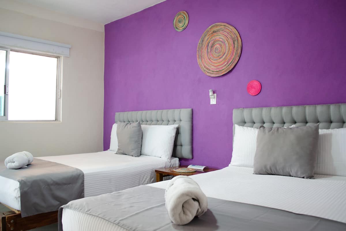 Ropa de cama hipoalergénica y wifi gratis