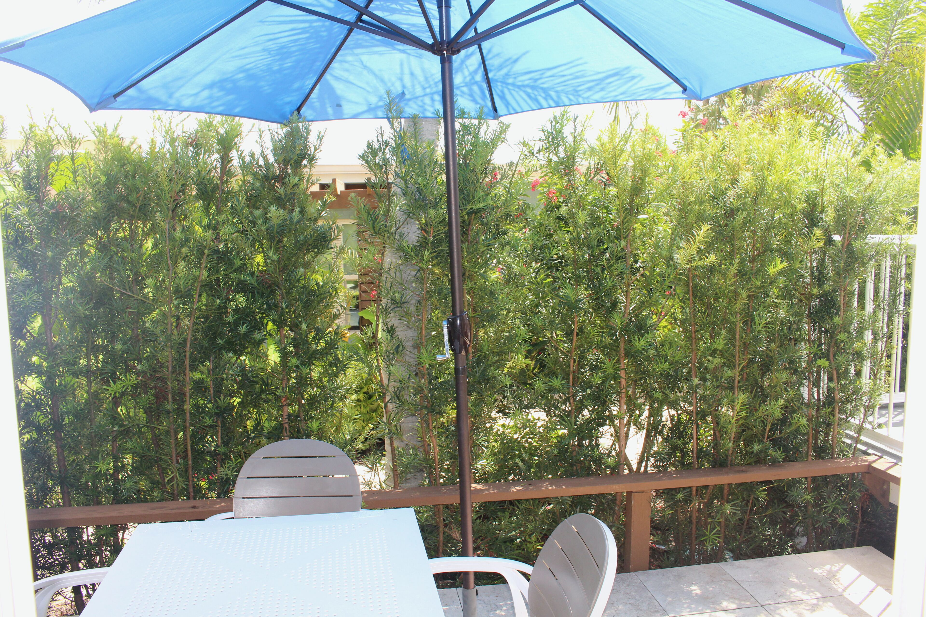 Servei de restauració a l'aire lliure