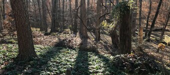 Mary's Country Cottage Escape