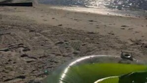 A beach with a pier and a green inflatable pool. - The Mermaid Beach House 2 (Hernando Beach)