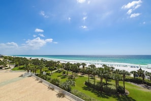 A beach view with palm trees, a sandy area, and a clear blue sky.
