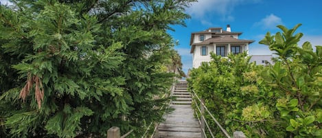 A wooden staircase leading up to a building surrounded by dense greenery.