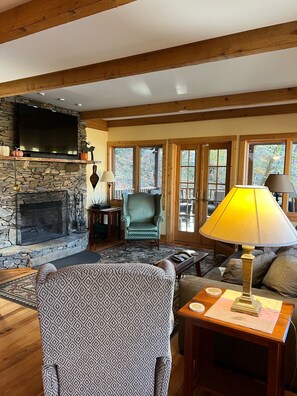 Smart TV, fireplace, books, video library