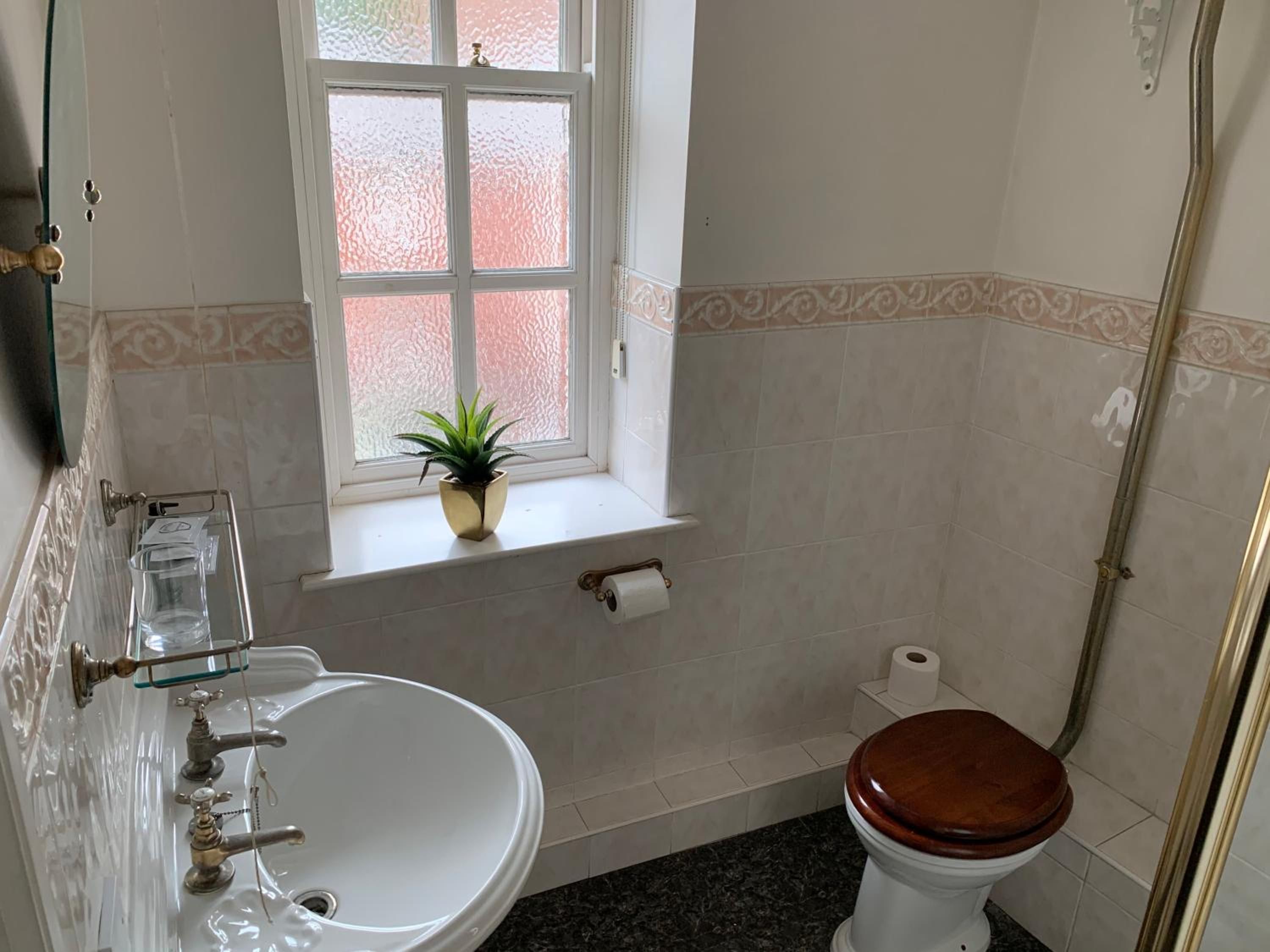 A bathroom with a sink, toilet, and window with a plant.