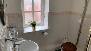 A bathroom with a sink, toilet, and window with a plant.