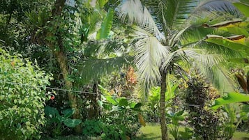 Quarto standard | Vista para o jardim
