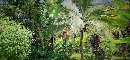Vista al jardín