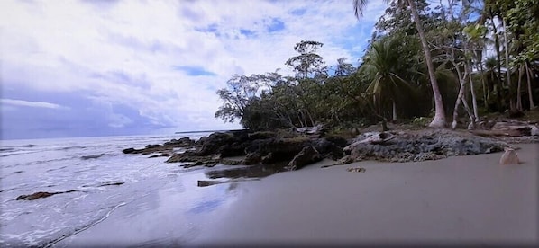 Beach nearby - Cabinas Algebra (Cahuita)