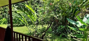 Garden - Cabinas Algebra (Cahuita)