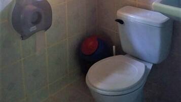 A small bathroom with a toilet, a bidet, and a shower area.