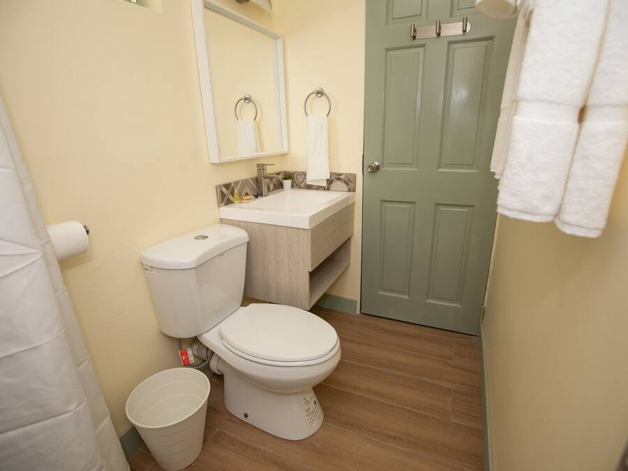 Un baño con inodoro, lavamanos y una puerta verde.