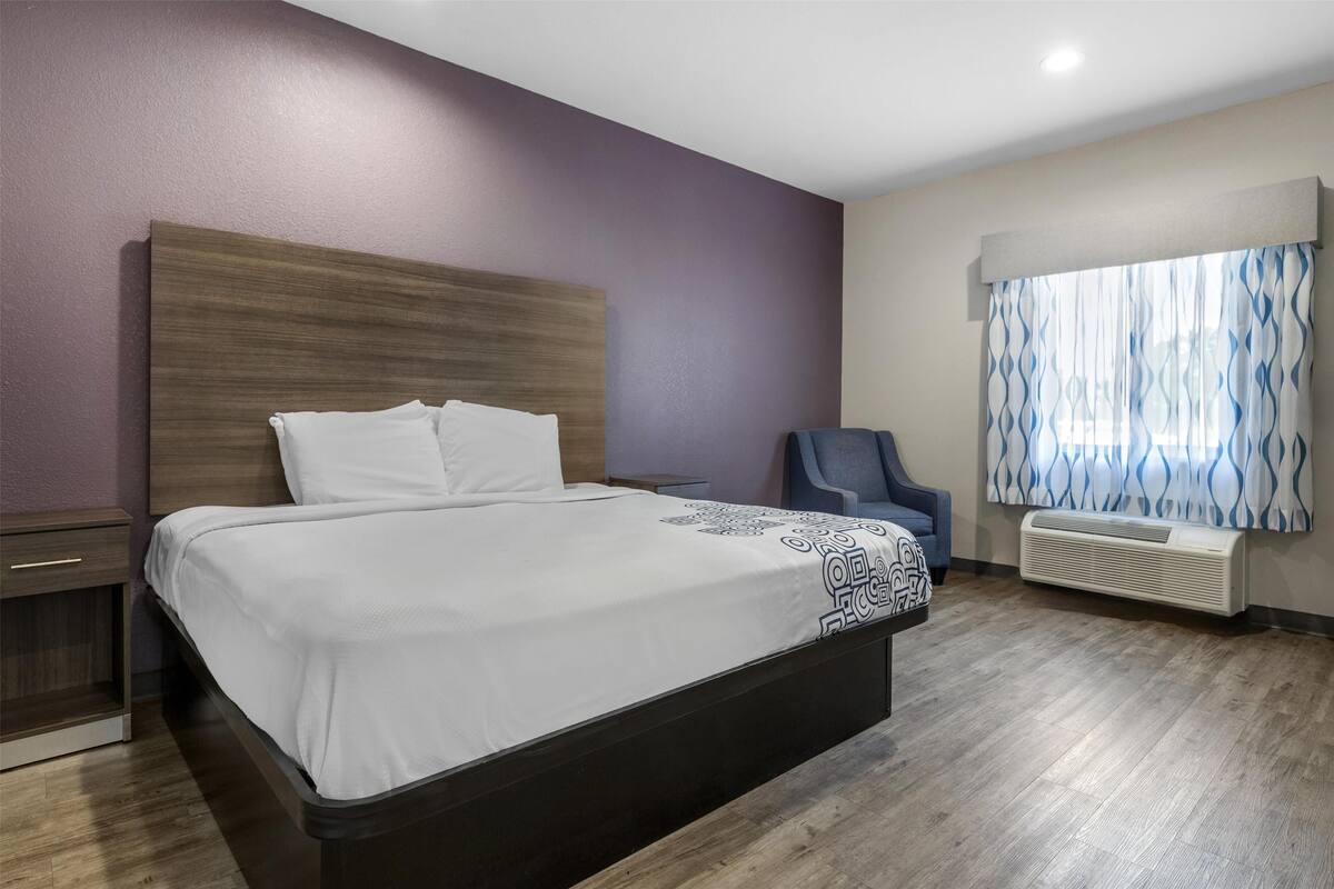 Standard Room, 1 King Bed, Accessible, Non Smoking | 1 bedroom, desk, laptop workspace, blackout drapes