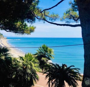 Perto da praia 