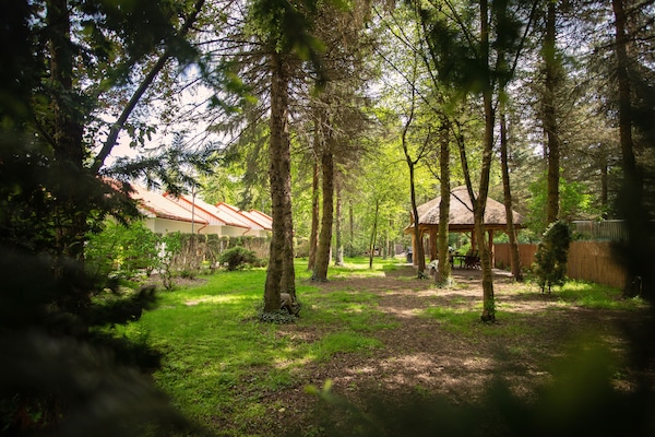 Enjoy the garden in front of your room