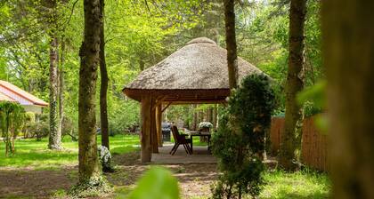 Sleep at birdy countryside, only 5 km from Niepołomice. Breakfast included.