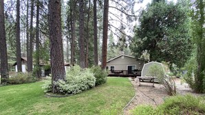 Een chalet met terras, omgeven door hoge bomen en een verzorgd gazon.