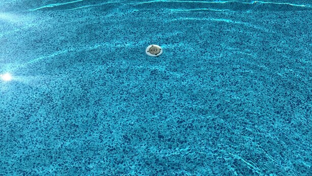 En klar pool med synliga vågor och ett avlopp i mitten.