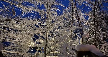 Friendly Fires: The Perfect Lakeside Getaway