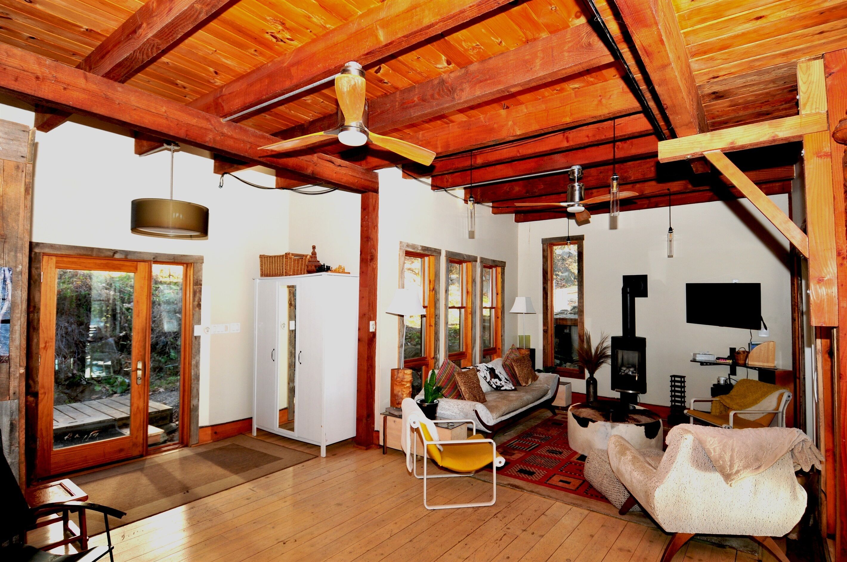 电视、壁炉、DVD 播放器、书