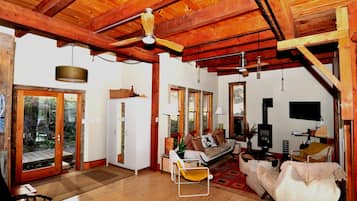 TV, fireplace, DVD player, books