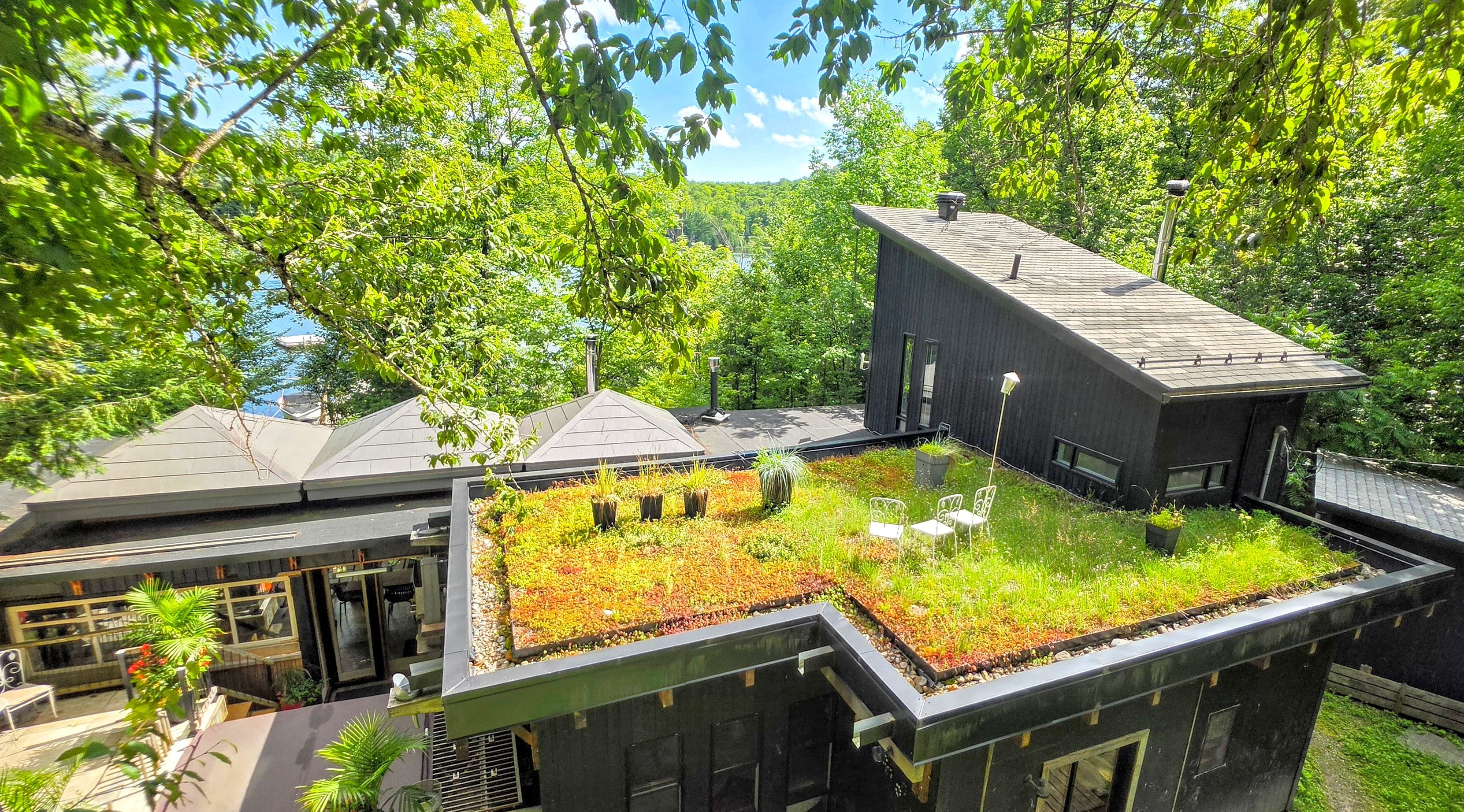 A modern house with a green roof garden, a large window, and a view of a lake.