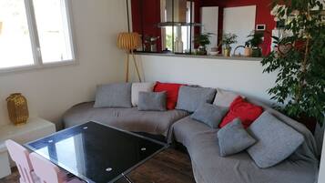 Télévision, cheminée, jeux vidéo, lecteur de DVD