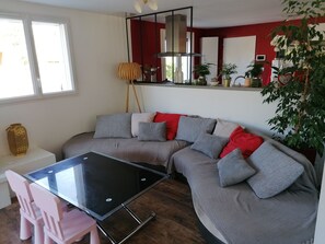 TV, fireplace, video games, DVD player