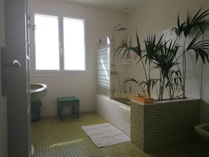 Tina, secadora de cabello, bidet, papel de baño