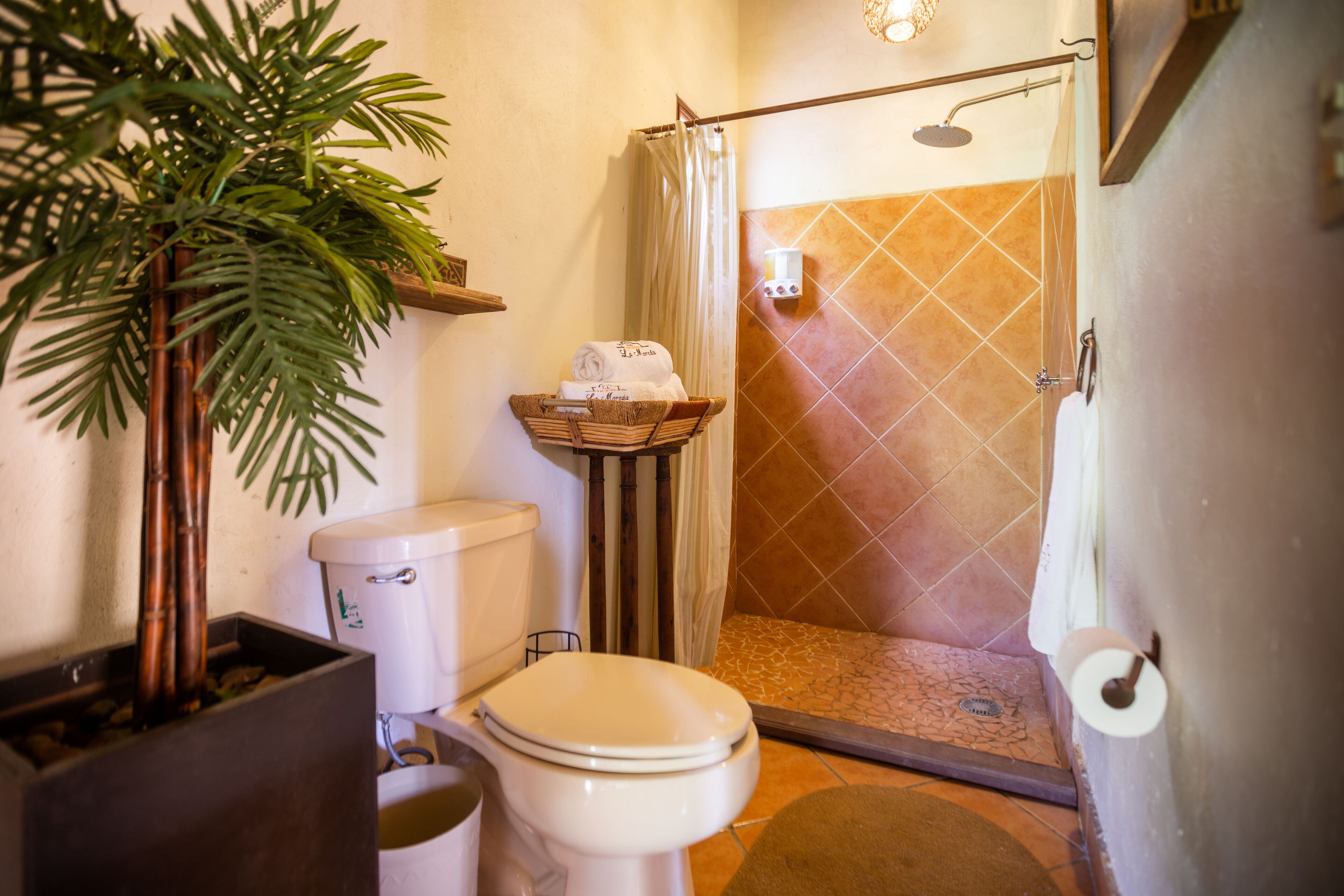 Un baño con inodoro, ducha y una planta.