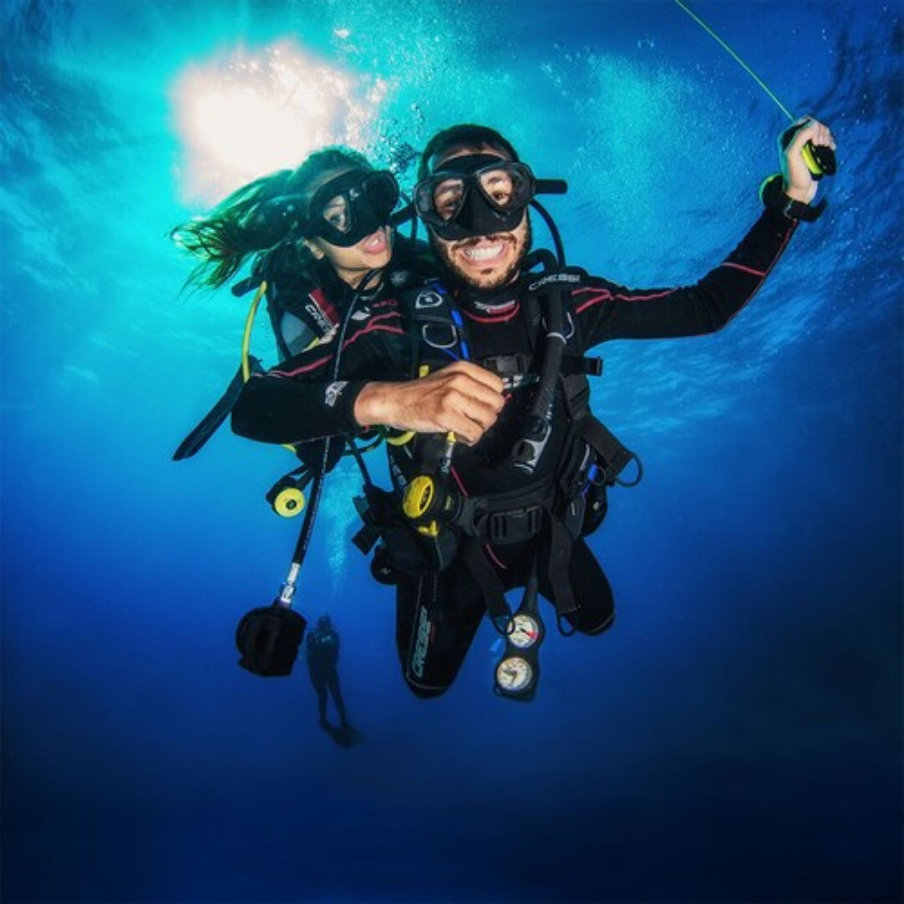 Photo - Albatros by Bedsfriends