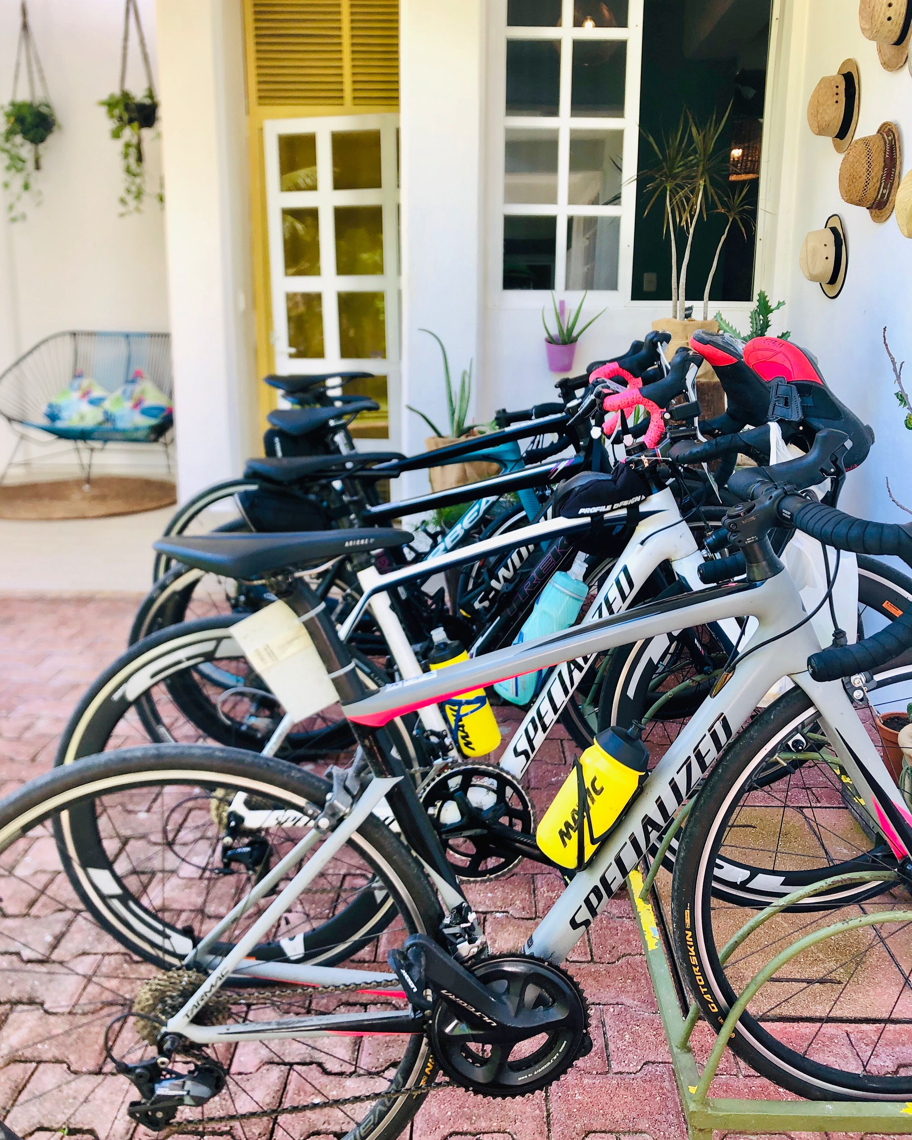 Photo - Albatros by Bedsfriends