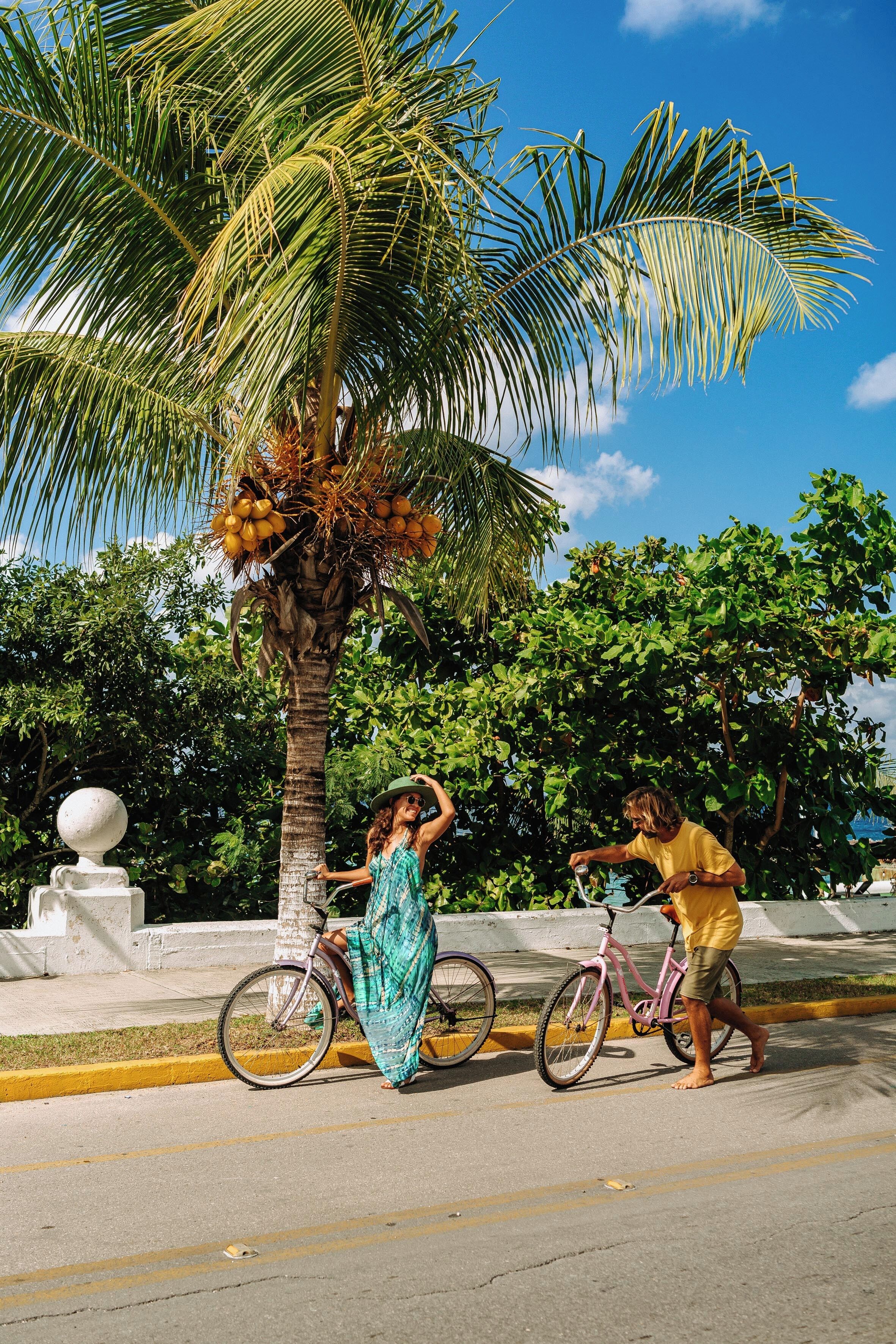 Photo - Albatros by Bedsfriends