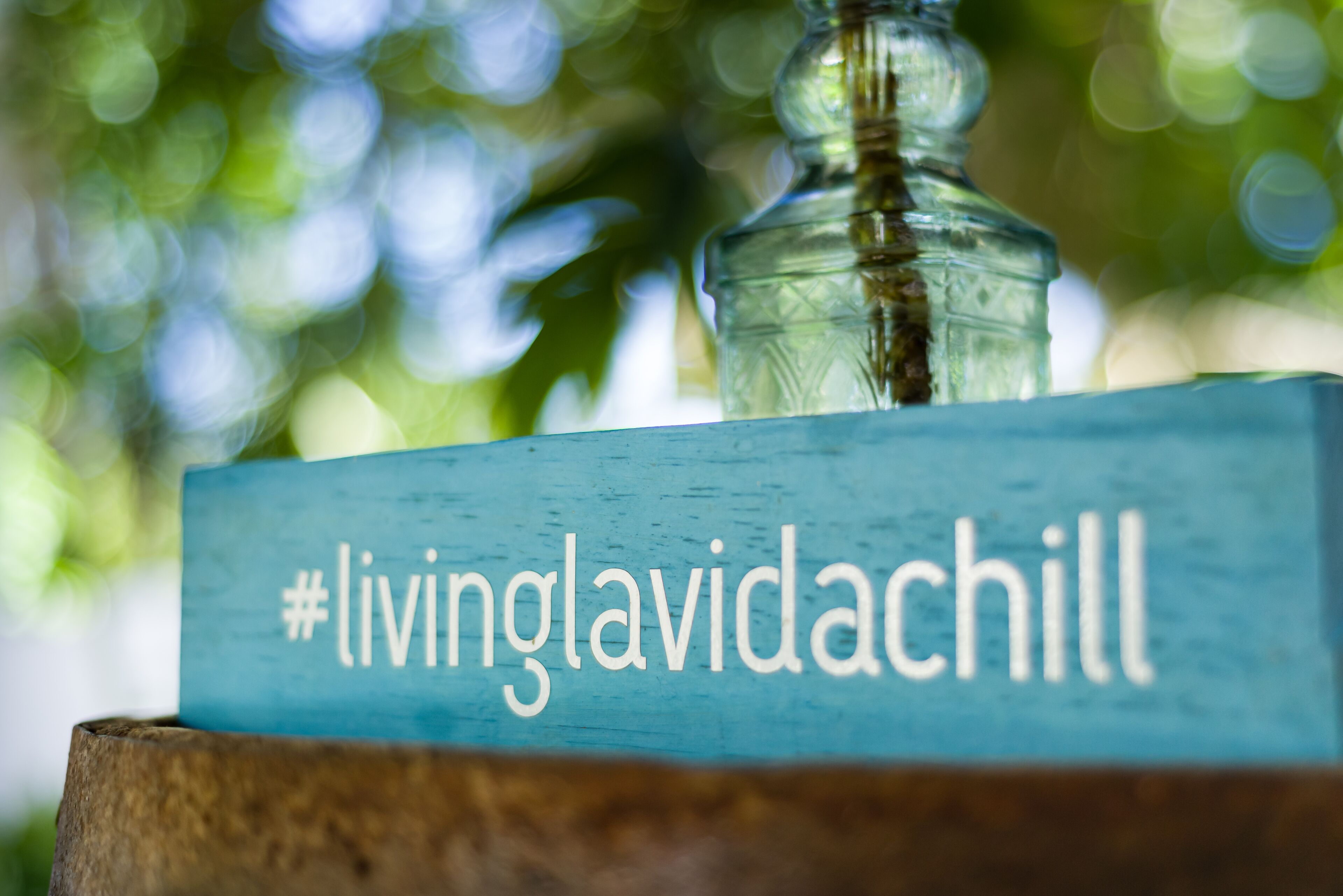 Photo - Albatros by Bedsfriends