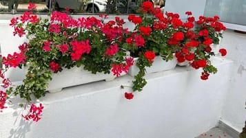 Außendetails