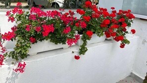 Detalle exterior