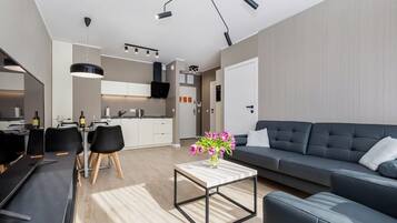 Fernseher, Arbeitsbereiche